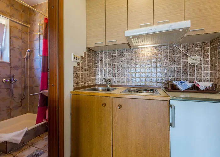 Pavlovic * 茨里克韦尼察