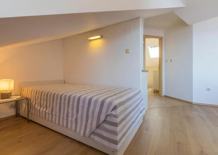 Pavlovic 茨里克韦尼察