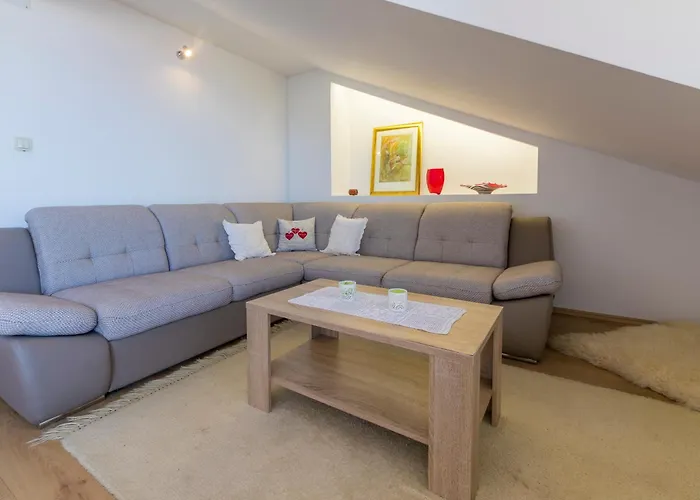 Pavlovic * 茨里克韦尼察