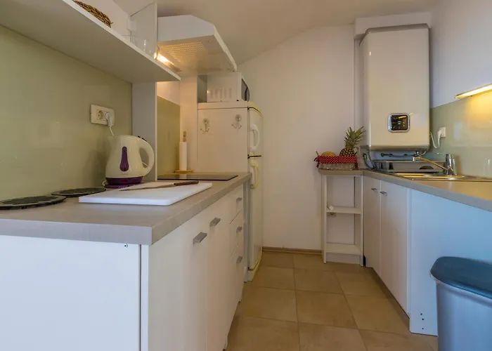 公寓 Pavlovic 茨里克韦尼察